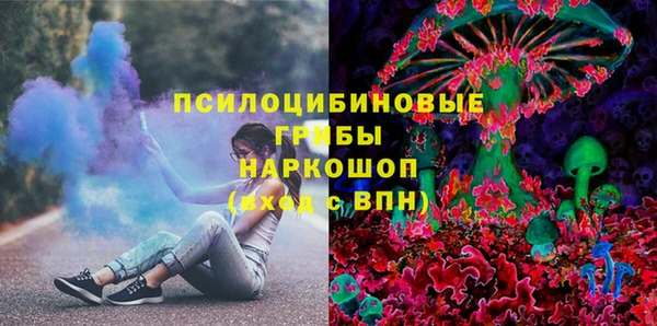 дживик Богородск