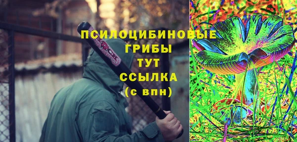 дживик Богородск