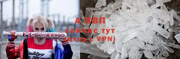 дживик Богородск