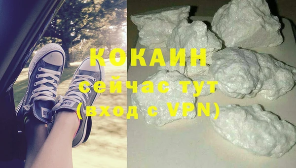 дживик Богородск