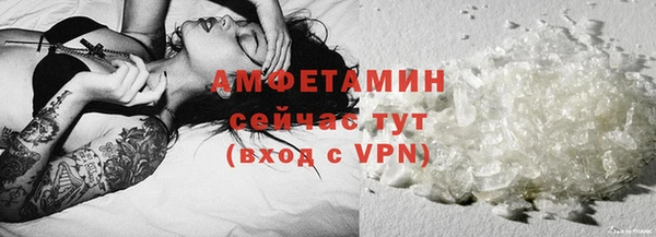 дживик Богородск