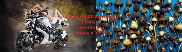 дживик Богородск