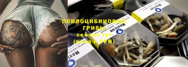 mix Богданович