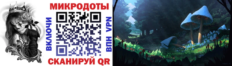 Купить где  Новороссийск  Псилоцибиновые грибы Psilocybine cubensis 